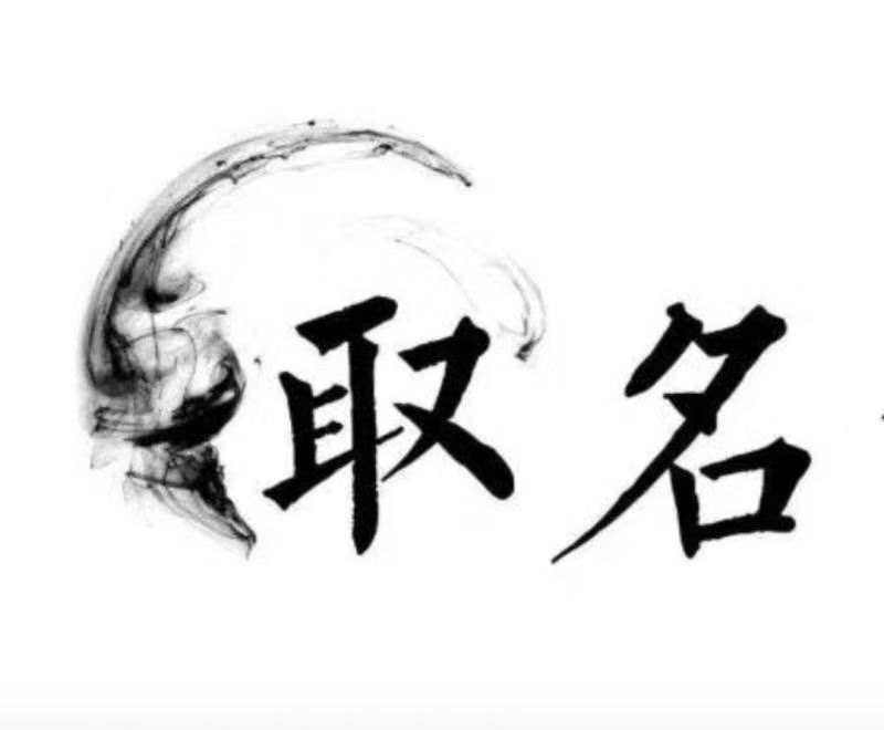  田阳宝宝取名 大师一对一人工起名