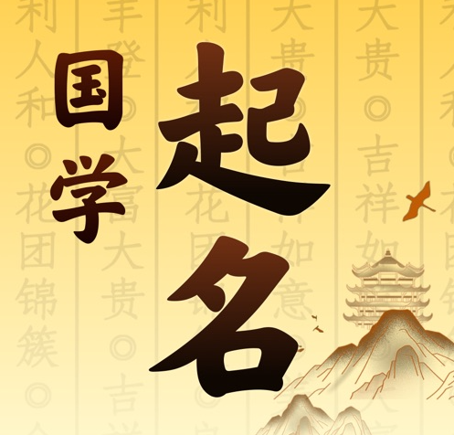 田阳国学起名 人工起名一对一
